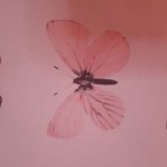 صورة المستخدم الرمزية