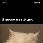 صورة المستخدم الرمزية