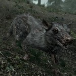 صورة المستخدم الرمزية