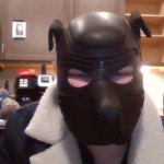 pupshadow11999