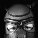 Starr_Pup