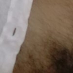 Sexfto