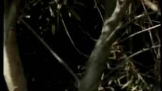 I Can Take It 01 - Scene 6
