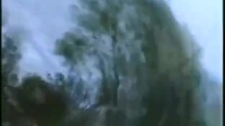 Tales Of The Forest - Scene 1