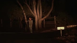 Lesbian Hitchhiker Gets Picked Up and Fucked Hard