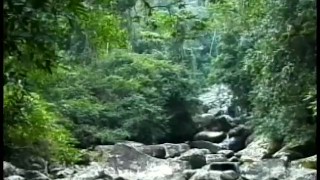 Brazilian Bulge - Scene 2