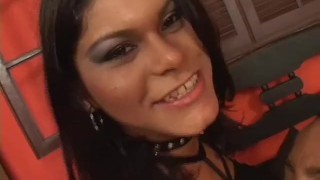 THE NEW TGIRL 1 - Scene 1