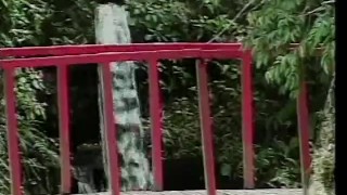T Girl Mania 13 - Scene 2
