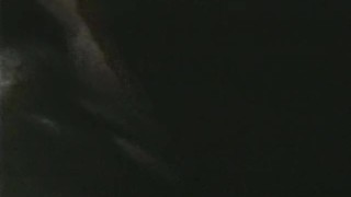 Gay Peepshow Loops 333 70's and 80's - Scene 3