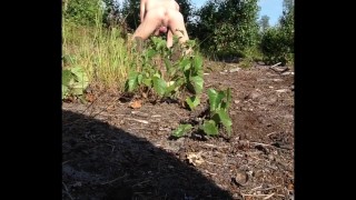 boy Crawls Naked in Public