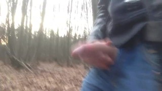 Nice jerk off in public and cumming