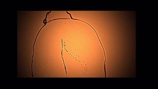 Plus Size Girl Dancing Naked