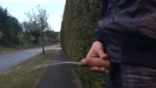 sometimes it is risky to pull out your dick and piss