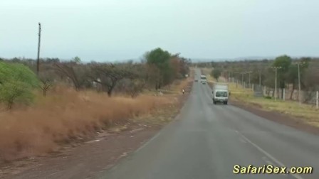 wild african jeep sex safari