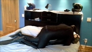 black spandex finned enemy humps orca frogman
