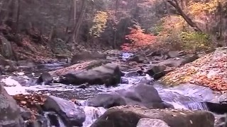 outdoor boyz - Scene 1