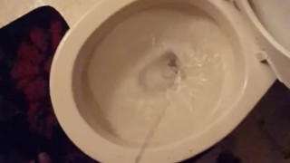 Alexs Piss After the Party