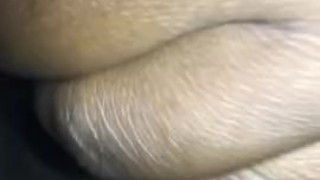 Pussy