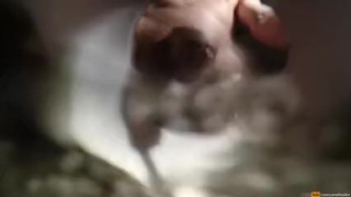 Gay boy pee horny view