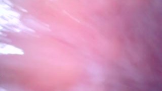 ♥ ♡ ♥ VORE / SNAKE CAM TEST - HELP! ♥