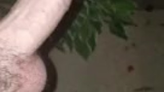 Big dick outdoors late night teen cumshot