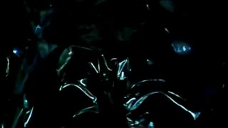 ARJANTANISIA-TOTAL-AROUSEMENT