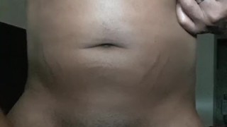 Swallow