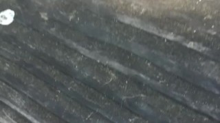 Pissing outdoors