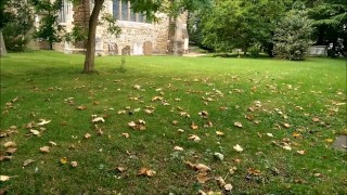 Uni Girl Loves Risky Fucks Church, Picnic Area, Bridge & Facial Reward
