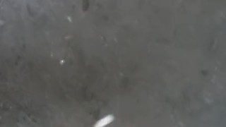 Outdoor Cum