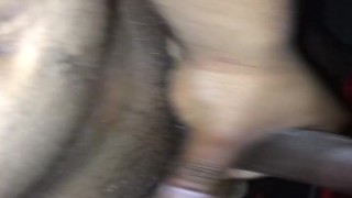 Closeup wet cock