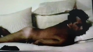 SEXTAPE of MALE CELEBRITY CORY BERNSTEIN having PHONE SEX W A FAN !