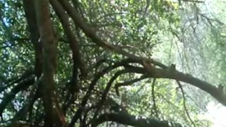Me Getting Naked in the Park