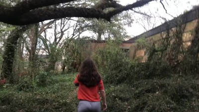 Sister Fuck In Forest - Step Sister Public Fucking Porn Videos - Tube8