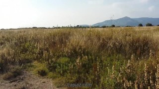 Mr Duck - Lapjaz.com