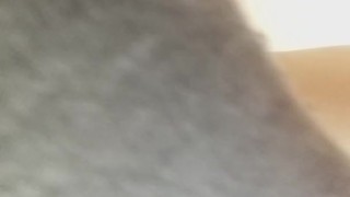 muori di sborrata, porcoddio!