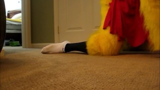 Chicken Feed Preview