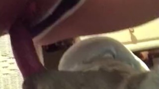 I broke the fake dick!