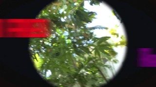 Southern Fried Raw Dogs