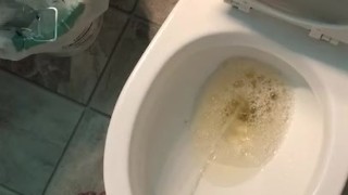 Pissing in my toilet