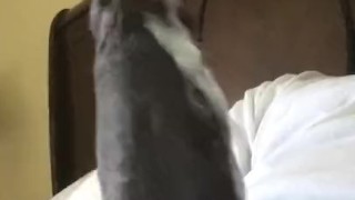 Private cum session