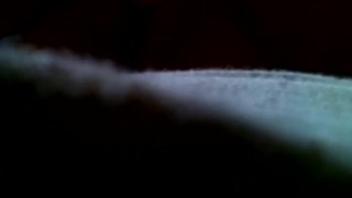 masturbating in bed until i cum