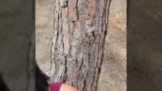 The voyeurs fucks a turist in the pines