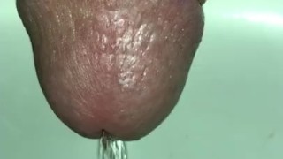 Seven inch erection piss