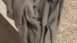 Lot of cum