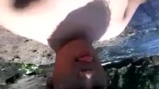 Cumshot