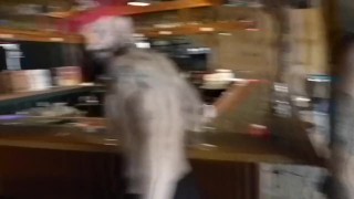 Breed Me In The Bathroom