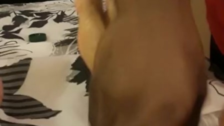 Ebony gets foot massage, pussy rub