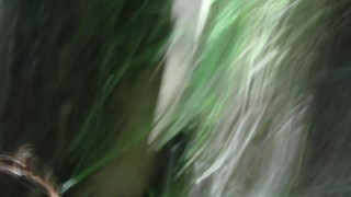 sex in a forrest - with anal fingering - part 2