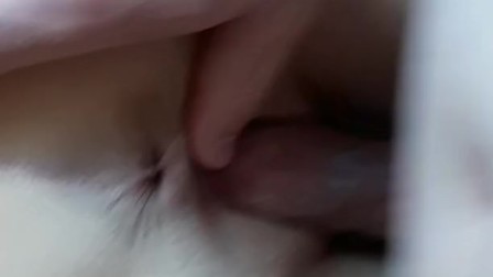 First time anal sex with teen girl, creampie ass, asshole.